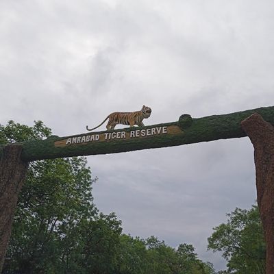 The Amrabad Tiger Reserve